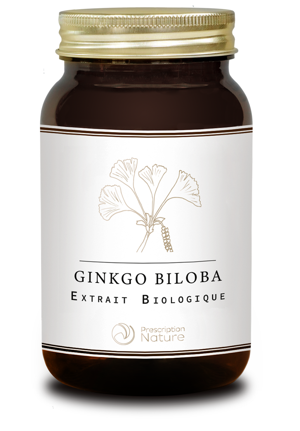 GINKGO BILOBA